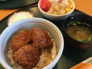 ソースカツ丼