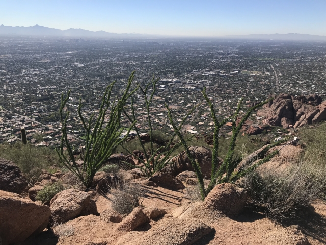 アリゾナ州フェニックス市