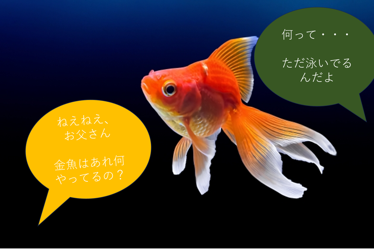 泳いでるだけだよ